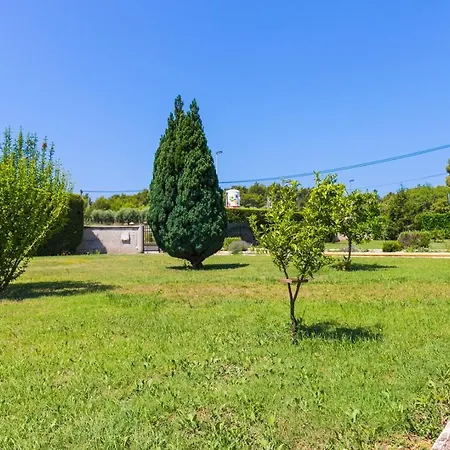 Danka With Shared Pool Pula