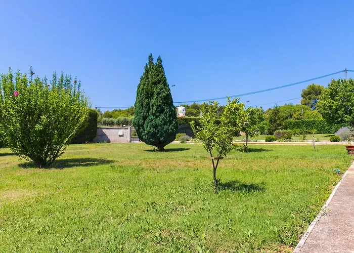 Danka With Shared Pool 풀라